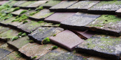 Newbury roof repair costs